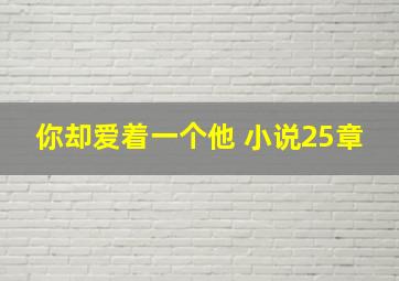 你却爱着一个他 小说25章